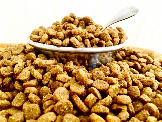 自動給餌器,ランキング,おすすめ,犬,猫