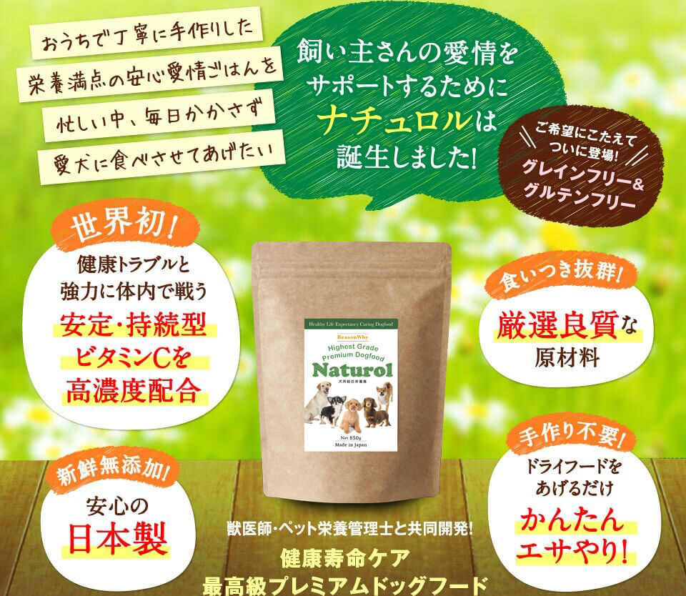 自動給餌器,ランキング,おすすめ,犬,猫